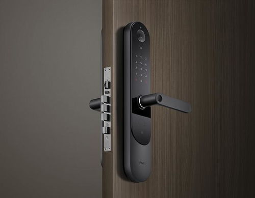 Aqara 全新P100 看得見的安全，AI智能門鎖的革新