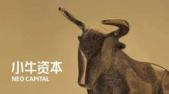 小牛資本管理