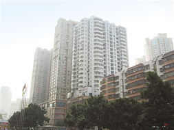 購房送兩地車牌正式叫停業內稱對珠海樓市的沖擊力有限 隨后或有替代政策出現