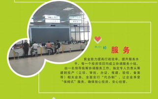 解密 一號工程 ,為什么這么多企業想來紫金這里投資