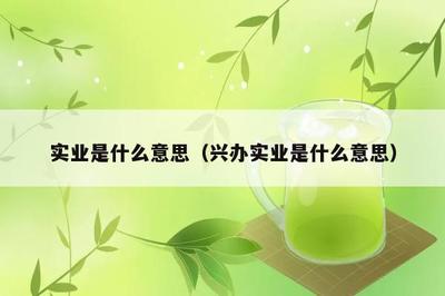 實業是啥么意思(興辦實業是啥么意思)