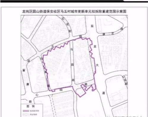 深圳 龍崗橫崗馬五村舊改,直接與開發商簽約